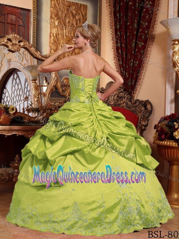 Yellow Green Sweet 16 Quinceanera Dress with Pick-ups and Embroidery