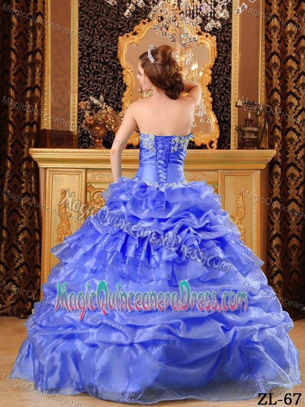 Exclusive Pick-ups Appliqued Cornflower Blue Quince Dress on Sale