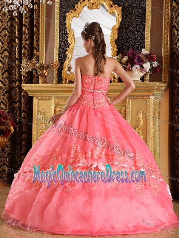 Noble Appliqued Watermelon Quince Dresses with Bow for a Cheap Price