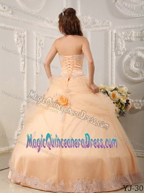 Unique Sweetheart Organza Appliqued Orange Quinceanera Gown with Flowers
