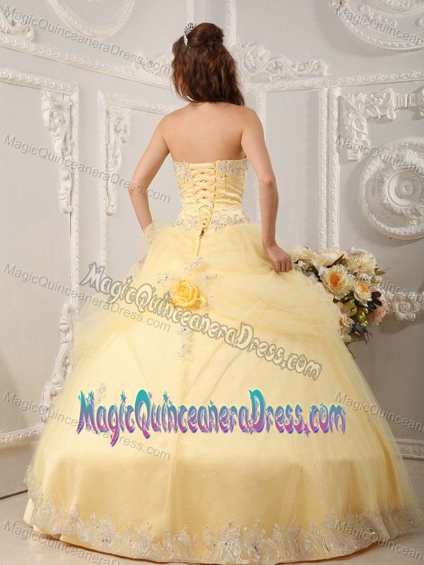Exquisite Light Yellow Quinces Dresses with Appliques and Flowers Online
