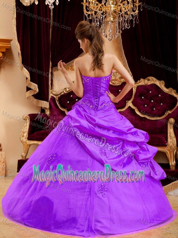 Slot Neck Pick-ups Appliqued Quinceanera Gown Dresses Online in Purple