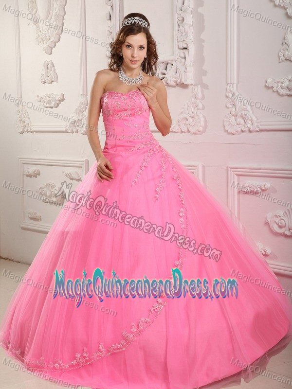 Most Popular Designer Appliqued Rose Pink Dress for Quince under 200