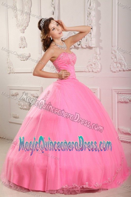 Most Popular Designer Appliqued Rose Pink Dress for Quince under 200
