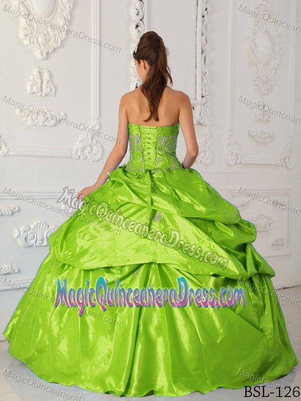 Appliqued Spring Green Quinceaneras Dress with Pick-ups in Opelika USA