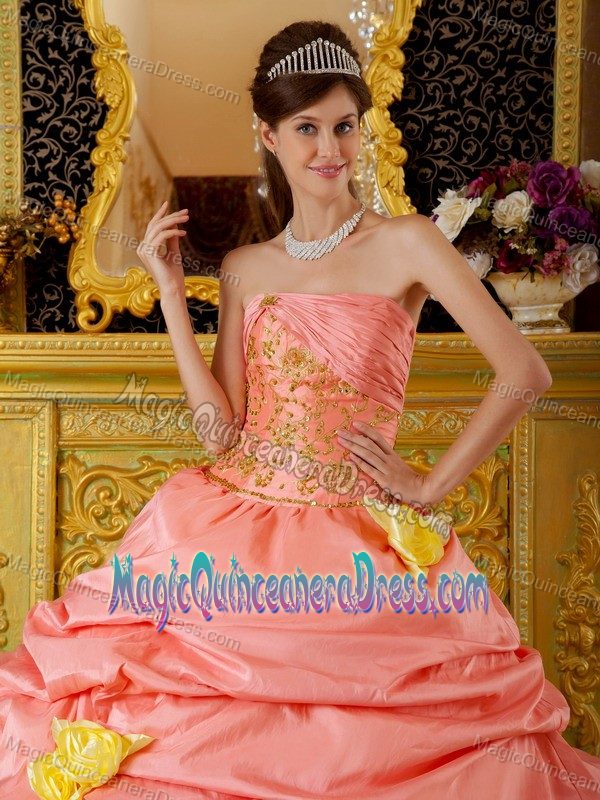 Hot Sale Yellow and Watermelon Sweet 16 Dresses with Pick-ups and Flowers