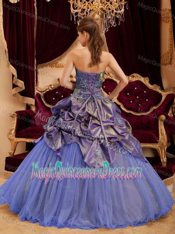 Plus Size Pick-ups Appliqued Multi-color Quinceanera Gown for Wholesale