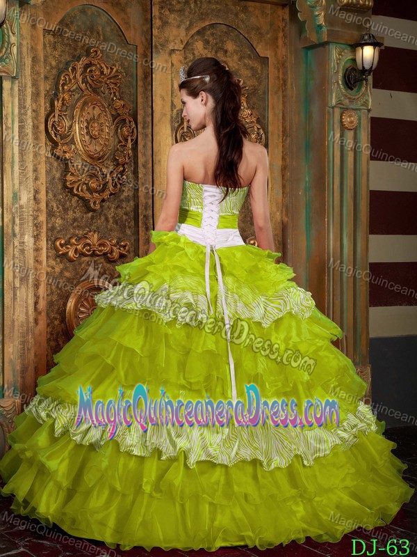 Noble Yellow Green Ball Gown Quinceanera Dress with Ruffled Layers