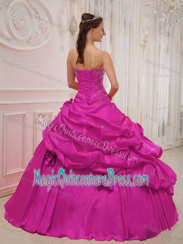 Hot Pink Floor-length Taffeta Quinceanera Gowns with Appliques in Wausau