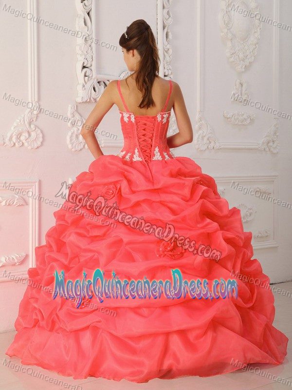 Coral Red Satin and Organza Quinceanera Dress with Appliques in Wausau