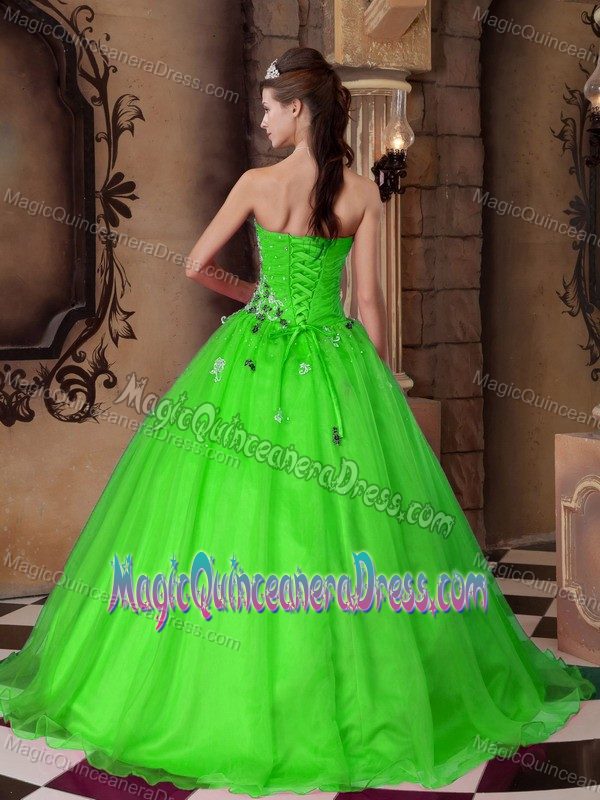 Green Sweetheart Organza Quinceanera Dresses with Beading in Spokane
