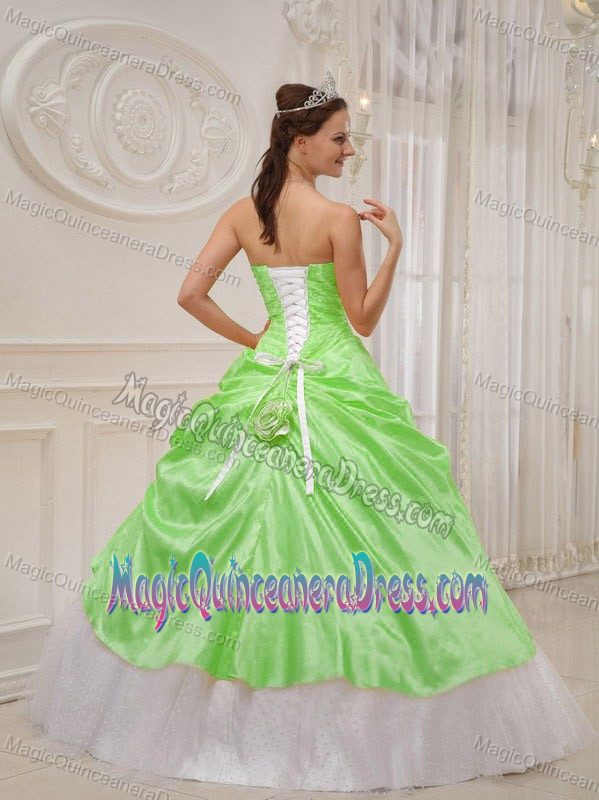 Strapless Taffeta and Tulle Beaded Quinceanera Dress Spring Green in Yakima