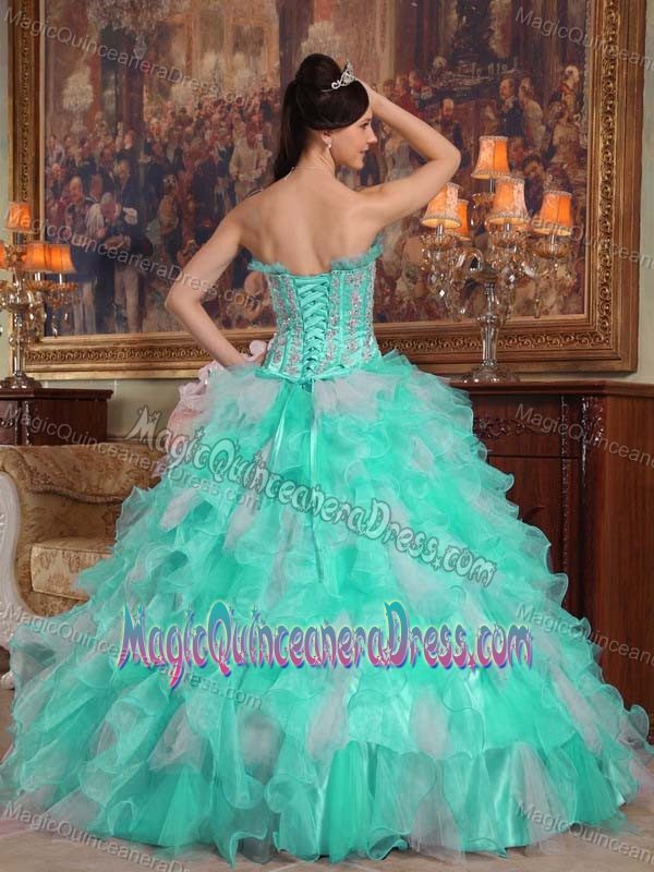 Apple Green Strapless Organza Quinceanera Dress with Appliques in Olympia