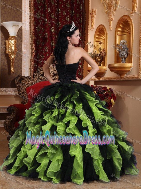 Sweetheart Organza Quinceanera Gown Dress with Beading in Lynnwood WA