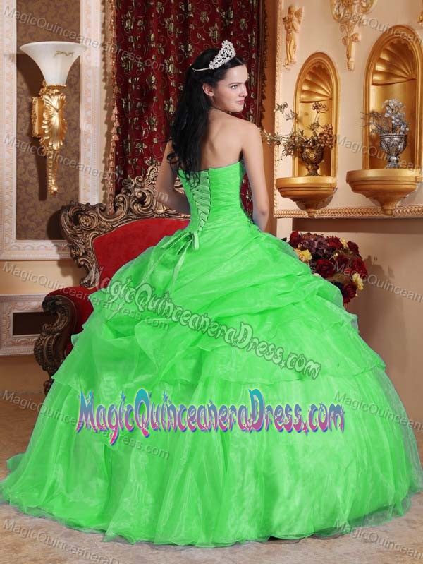 Spring Green Strapless Organza Quinceanera Dress with Beading in Kirkland