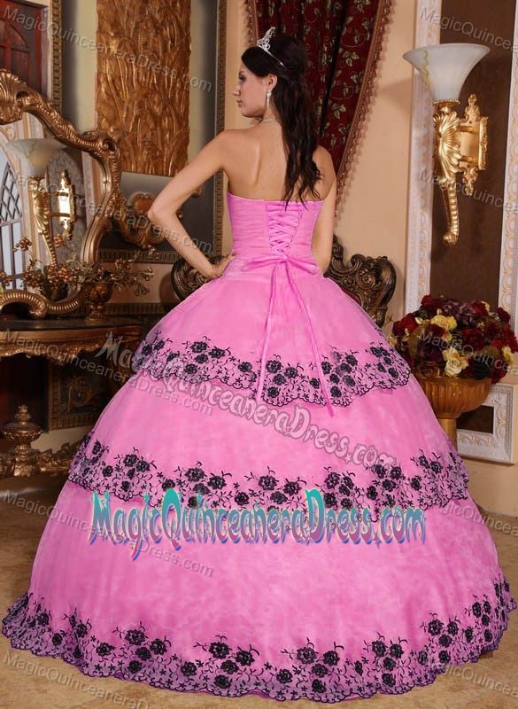 Strapless Floor-length Lace Appliqued Quinceanera Dress in Pink in Spokane