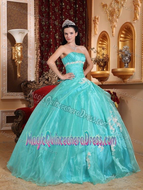 Strapless Organza Quinceanera Gown Dresses with Appliques in Dallas