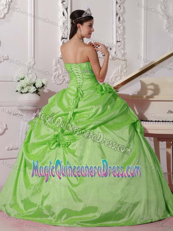 Sweetheart Taffeta Beaded Spring Green Quinceanera Dress with Hand Flowers