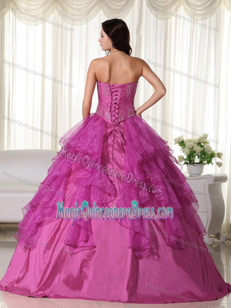 Sweetheart Organza Embroidered Quinceanera Dress in Fuchsia in Nashville
