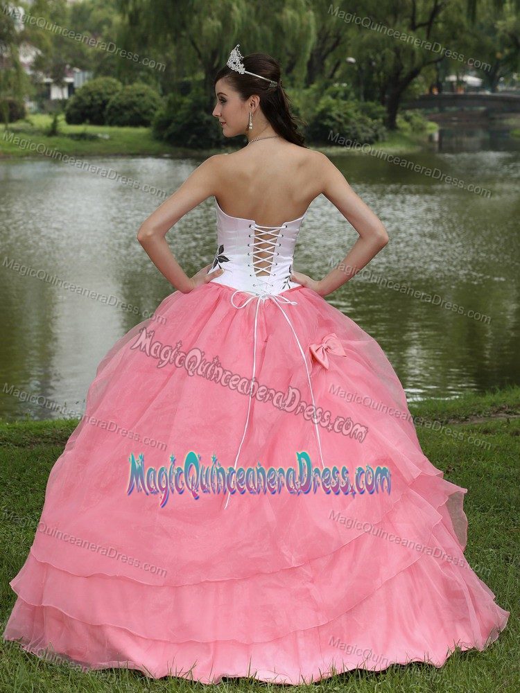 Embroidered Strapless Pink Quinceanera Gown Dresses in Pittsburgh PA
