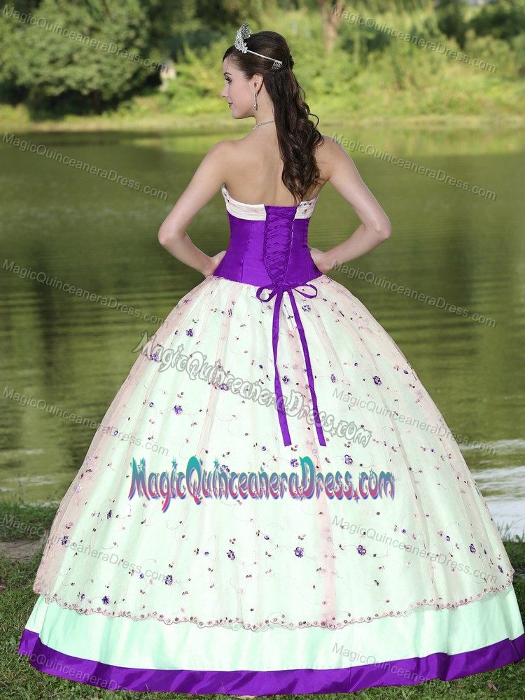 Flowery Strapless Colorful Quinceanera Gown Dresses in Lake Oswego OR