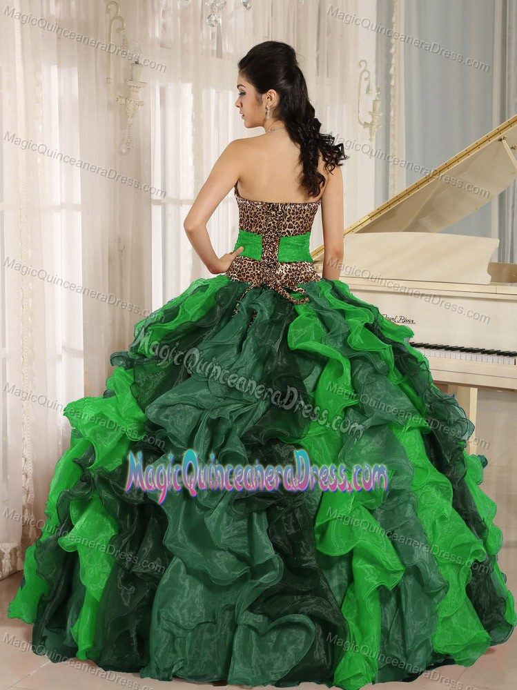 Multi-colored Leopard Beaded Quinceanera Dress with Ruffles in Harrisburg PA