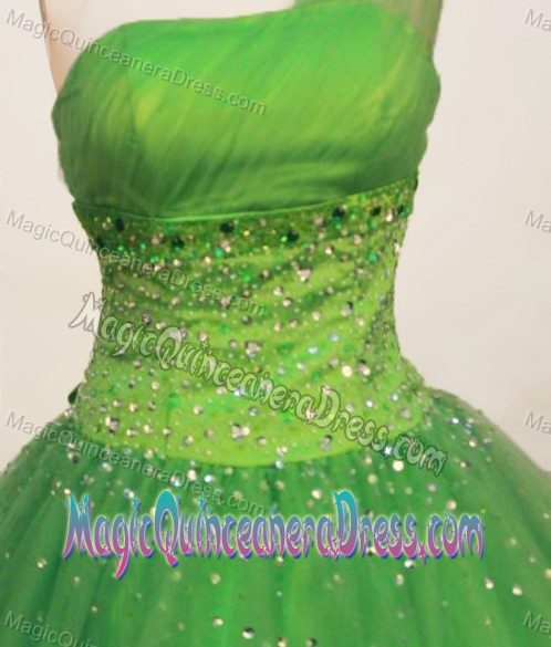 Spring Green One Shoulder Tulle Quinceanera Dress in Florida Colombia