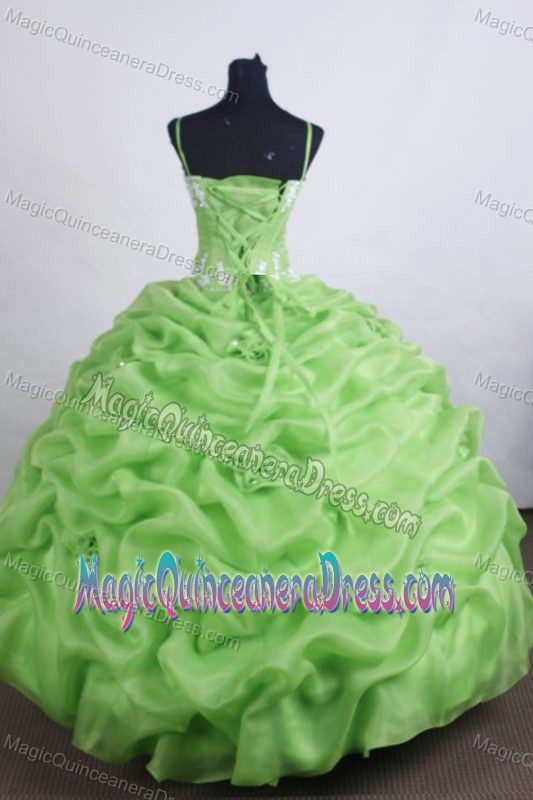 Appliques Pick-ups Straps Green Quinceanera Dresses in Maicao Colombia