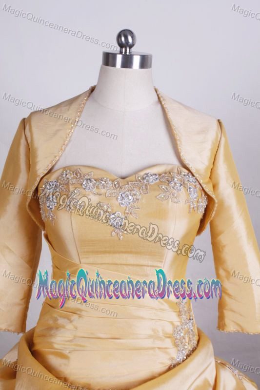 Gold Appliques Sweetheart Pick-ups Quinceanera Dress in Poza Rica Mexico
