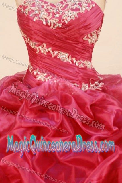 Appliques Pick-ups Sweetheart Quinceanera Dress in Buenos Aires Argentina