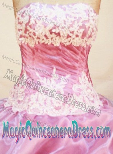 Strapless Quinceanera Dress in Oaxaca Mexico with Appliques and Pick-ups