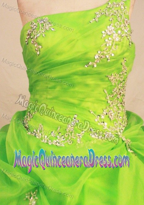 One Shoulder Appliques Beading Spring Green Quinceanera Gown Dress