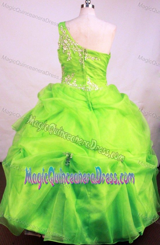 One Shoulder Appliques Beading Spring Green Quinceanera Gown Dress