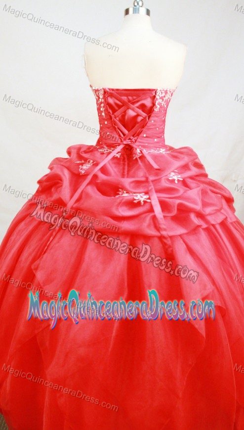 Ball Gown Sweetheart Pick Up Murgenthal Switzerland Quinceanera Dress