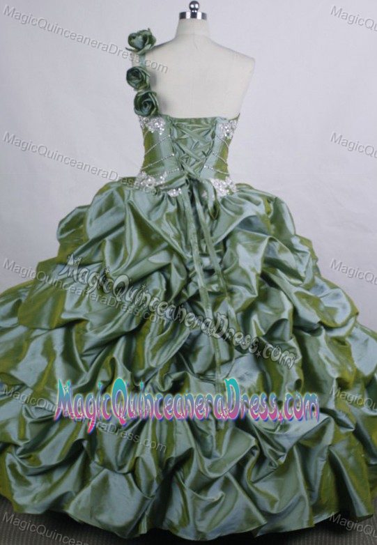 Flowers One Shoulder Dresses For Quinceanera in Lugano Switzerland