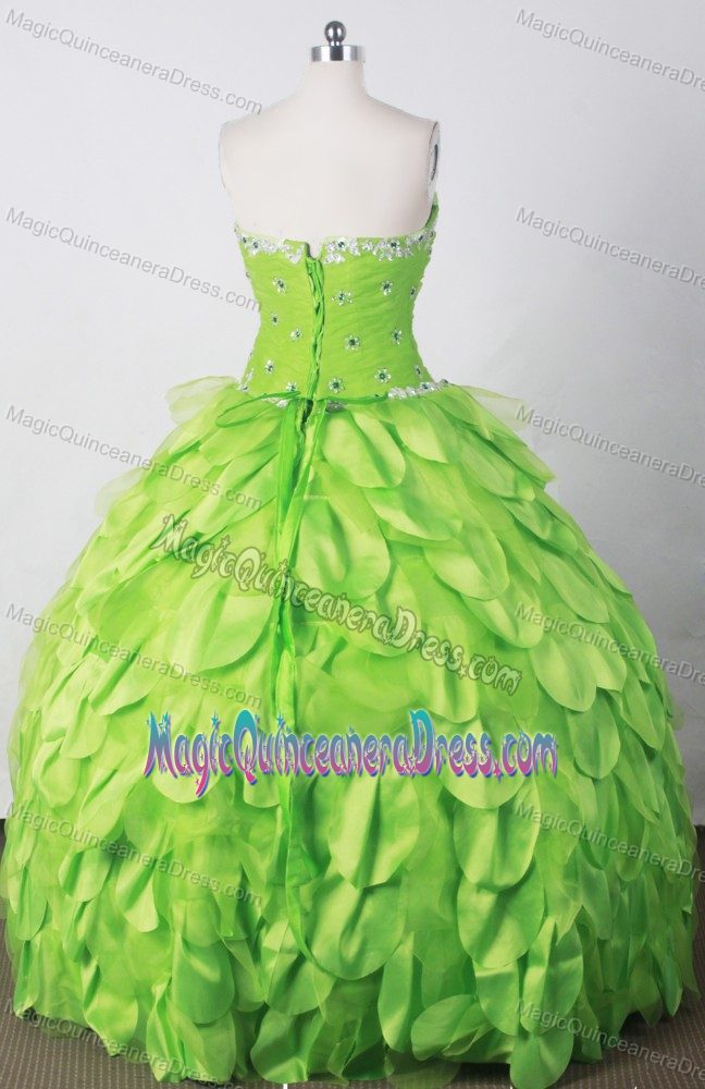 Strapless Beading Strapless Spring Green Fribourg Sweet 15 Dresses