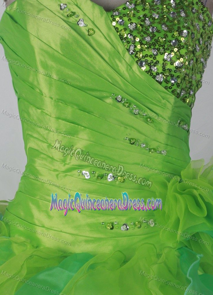 Cham Switzerland Sweetheart Ruched Beading Green Quincenera Gown