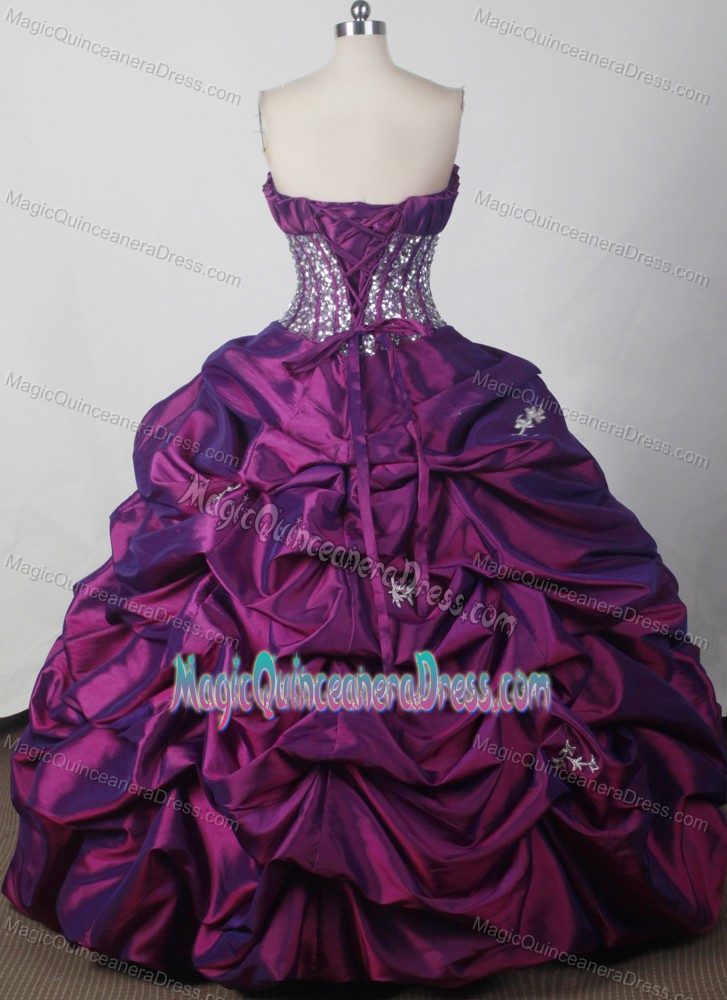 2012 Affordable Pick-ups and flowers Strapless Quinceanera Gown in Beatrice