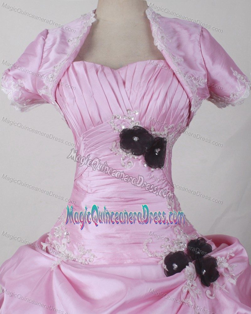 Romantic Sweetheart Pink 2013 Dress for Quince in Brookwood with Flowers