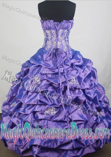 Ball Gown Strapless Beads and Pick-ups Accent for Sweet 15 Dresses in Chelsea