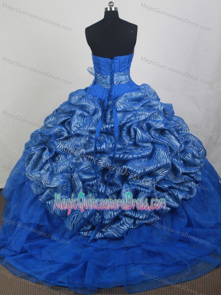Impressive Zebra Print Appliqued Blue Quince Dresses Fast Shipping