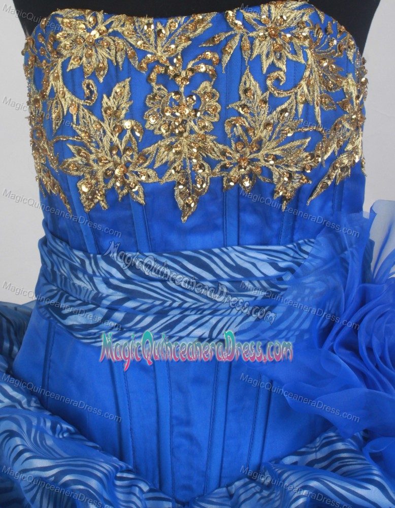 Impressive Zebra Print Appliqued Blue Quince Dresses Fast Shipping