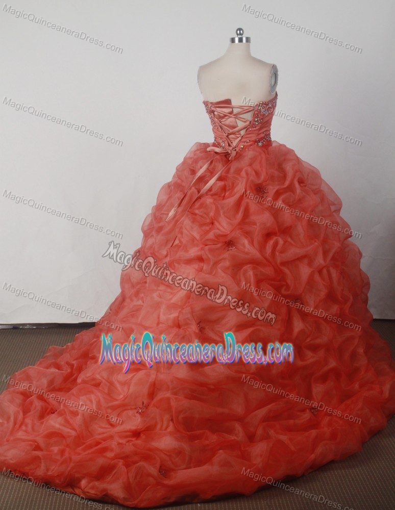 Fast Shipping Beaded Embroidered Quince Dresses in Armenia Colombia