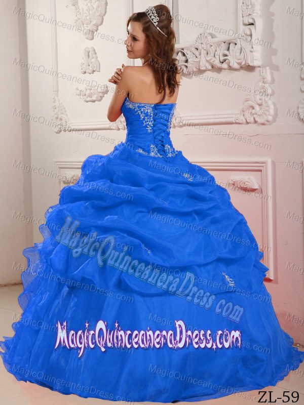 Embroidery Ruching and Pick ups Decorated Quinces Dress in West Liberty
