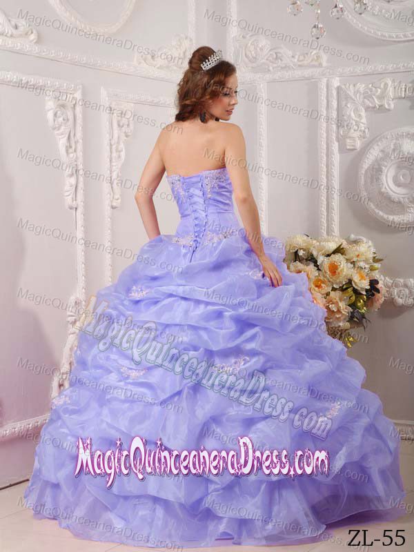 Lavender Pick Ups and Appliques Decorated Quinces Dresses in Charleston