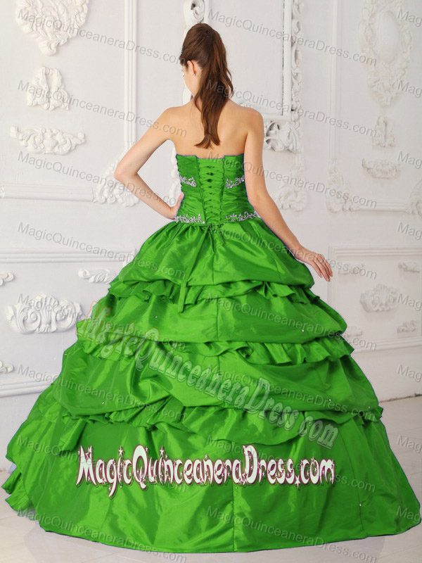 Embroidery Ruching and Pick Ups Green Quinceanera Gowns in Parkersburg