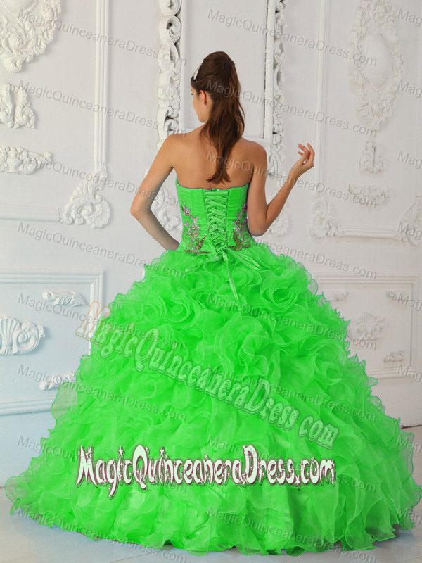 Exquisite Strapless Embroidery Green Quinceanera Gown Dress in Ogden