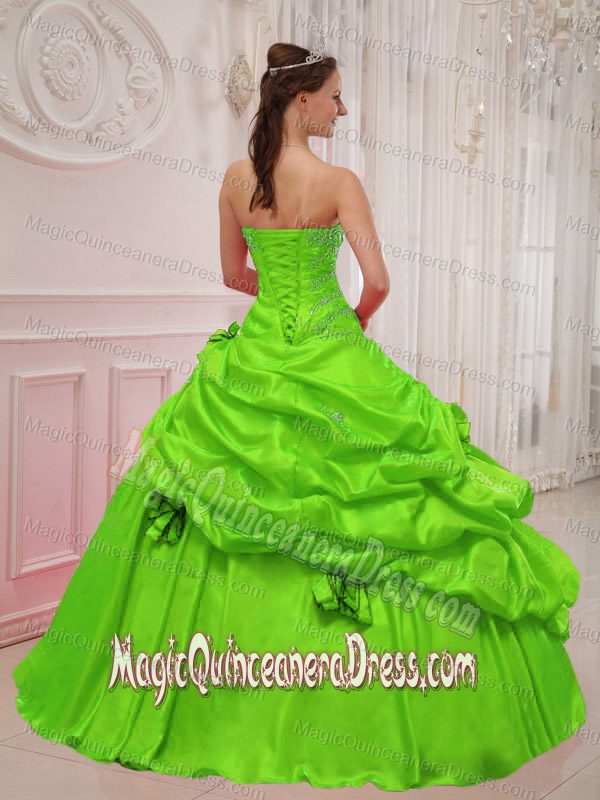 Sweetheart Appliques Spring Green Taffeta Quinceanera Dress in Logan UT