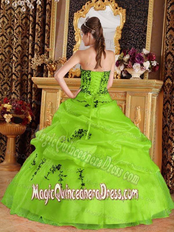 Yellow Green Sweetheart Satin and Organza Embroidery Quinceanera Dresses
