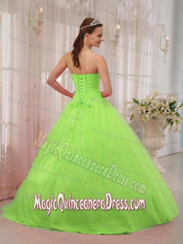 Spring Green Sweetheart Beaded A-line Dress For Quinceanera in The Woodlands